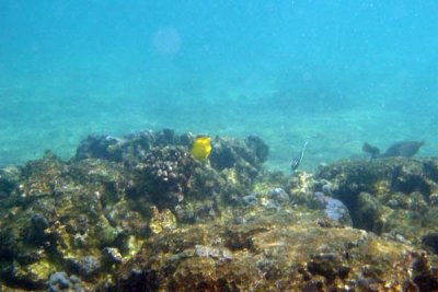 Underwater 67.jpg