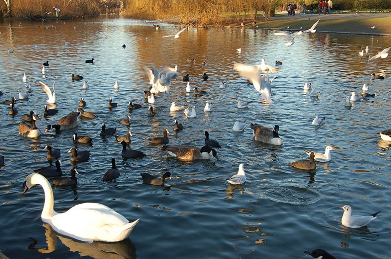 london_038.jpg