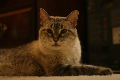April (1998-2012)