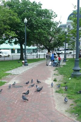 IMG_2531.jpg
