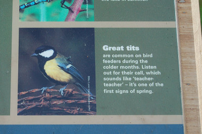 london_032.jpg