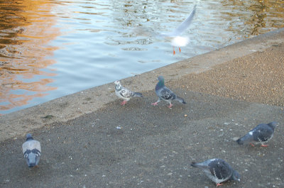 london_033.jpg