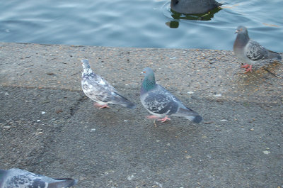 london_040.jpg
