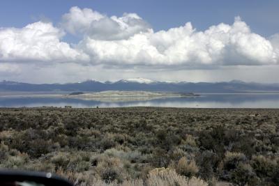 Mono Lake (DR-4584)