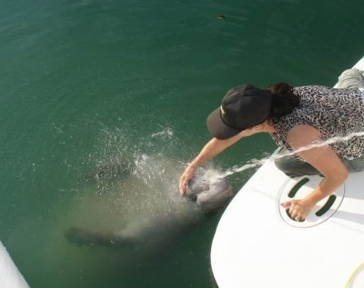 Rosie and Manatee