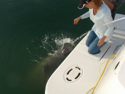 Lisa and Manatee