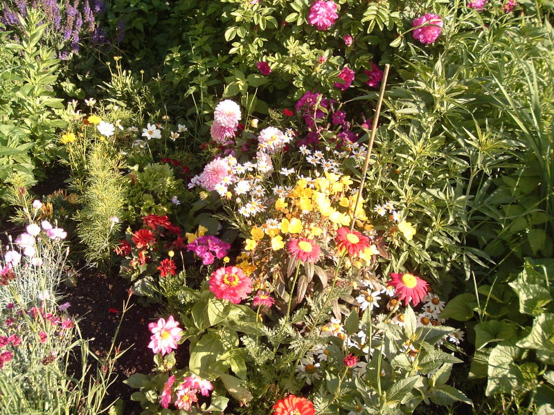 flowers