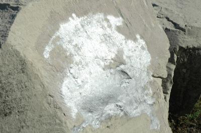silver paint on a rock
