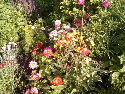 flowers