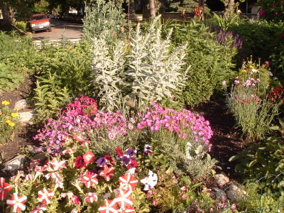 flowers