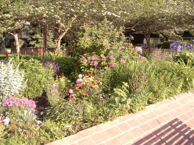 flowers