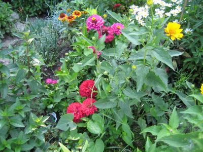 flowers
