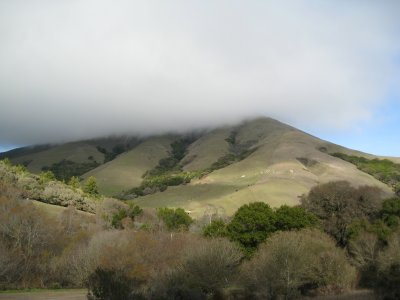 hill in fog