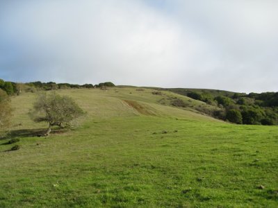 hill in sun