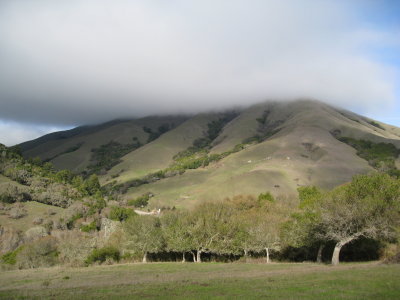 hill in fog