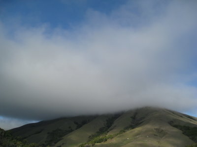 hill in fog