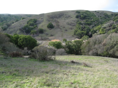 hillside