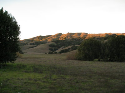 hillside in late light