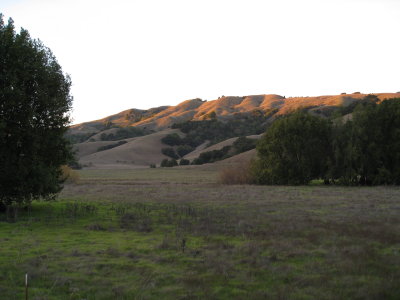 hillside in late light