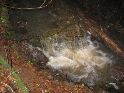 the creek