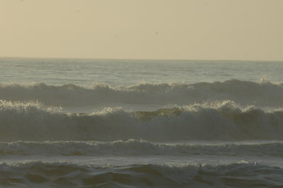 An excursion in mid-january