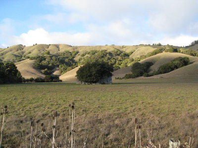 Spirit Rock