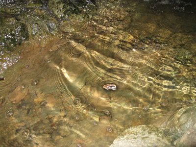 creek
