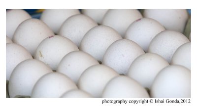 Eggs