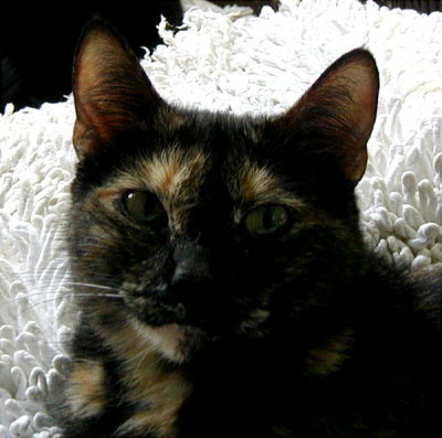 Princess