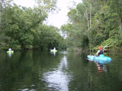Kayak trip hunting platypus, Helen in blue kayak