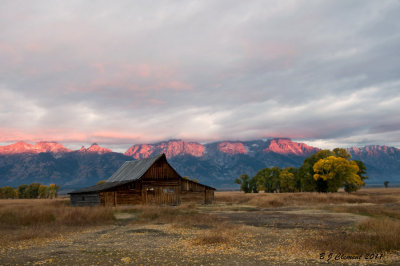 Mormon Barn at First light