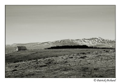 aubrac 03