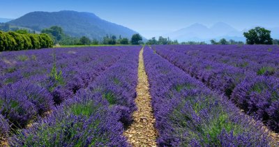 Le Luberon