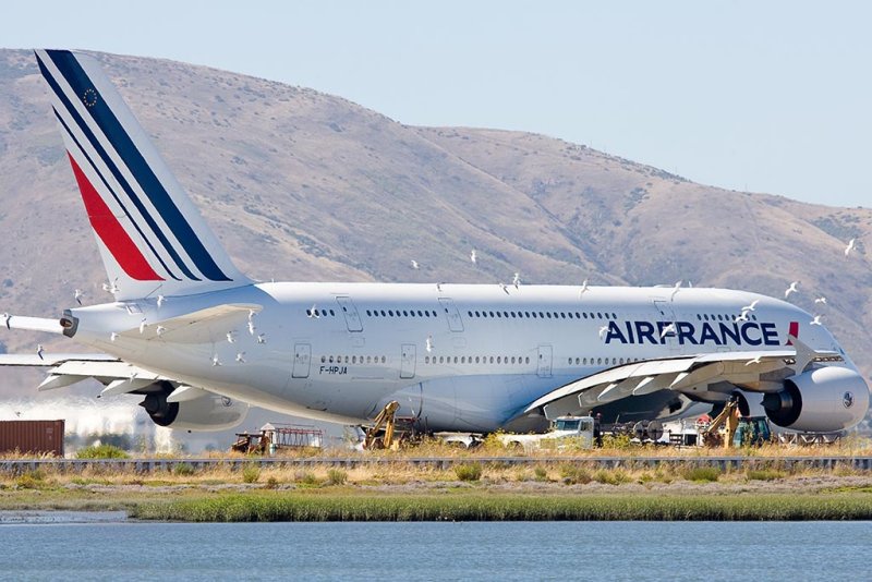 Gulls and an Air France Airbus A380-861 F-HPJA