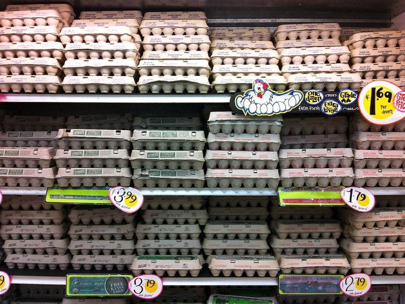 2/17/2012  Eggs