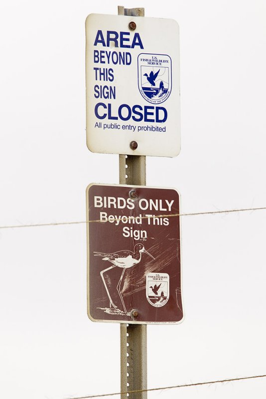 4/22/2012  Birds Only