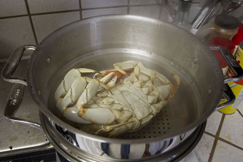 8/6/2012  Fresh steamed Dungeness crab