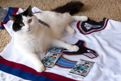 Vancouver Canucks vs. San Jose Sharks - November 26, 2011