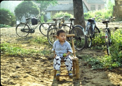 Mei Jia Wu Tea Production Brigade, Hangzhou, China