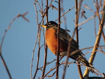 IMG_5151.JPG