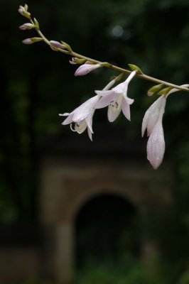 g4/16/552616/3/136766207.pL0QkOHw.jpg