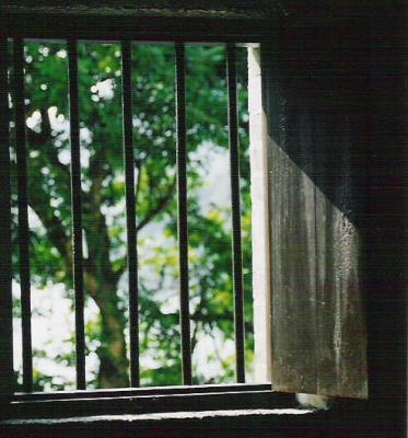 SG02.jpg