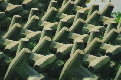 SG18.jpg