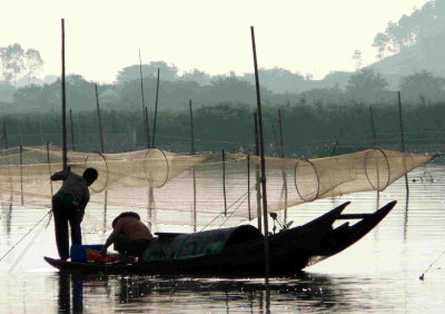 ZH43.JPG