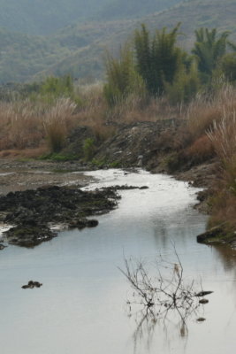 NH59.JPG