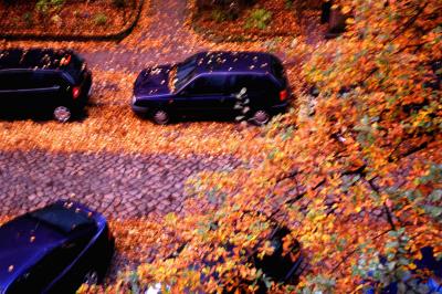 blue cars and some fallen leaves