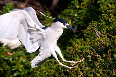 Landing  _MG_1966.jpg