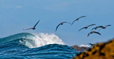 Just a typical ocean scene _MG_5042.jpg