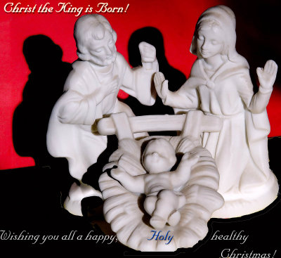 A healthy, happy, and Holy Christmas for everyone!_MG_3549.jpg