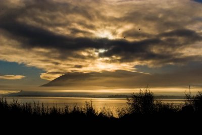 Clear Lake sunrise_MG_5381.jpg